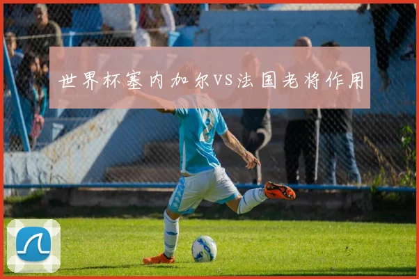世界杯塞内加尔vs法国老将作用