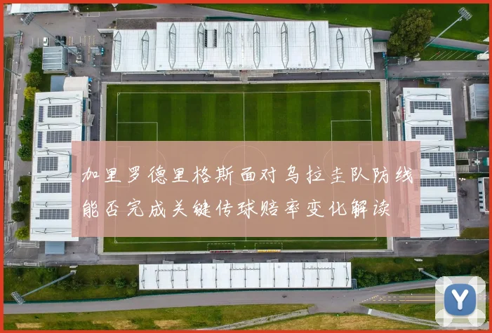 加里罗德里格斯面对乌拉圭队防线能否完成关键传球赔率变化解读