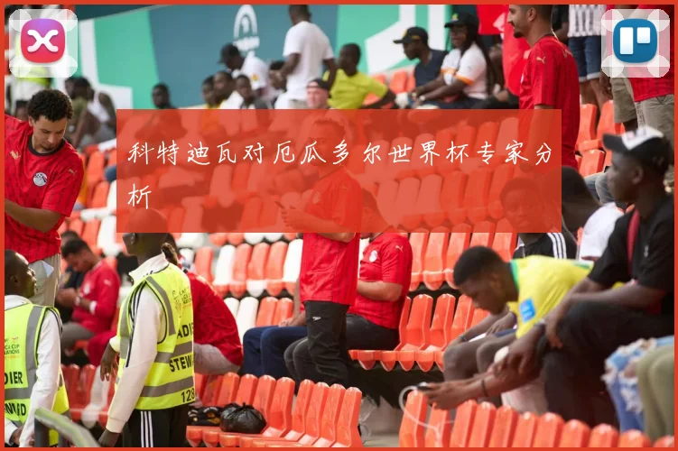 科特迪瓦对厄瓜多尔世界杯专家分析