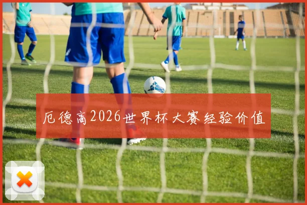 厄德高2026世界杯大赛经验价值