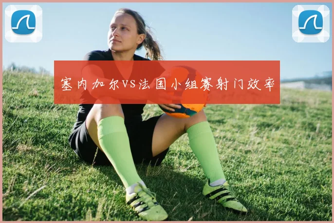 塞内加尔vs法国小组赛射门效率