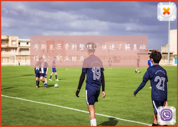 布斯克茨资料整理：快速了解基础信息：职业经历